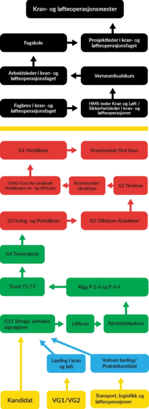 Her illustreres en typisk karrierevei hos oss i Kranproffen.